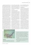 carelit_240902_2.jpg
