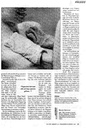 carelit_60640_4.jpg