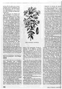 carelit_54726_2.jpg
