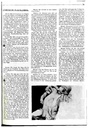 carelit_9155_2.jpg