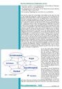 carelit_200984_3.jpg