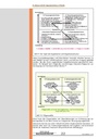 carelit_200859_11.jpg