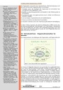 carelit_200859_12.jpg
