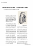 Ein anatomischer Recherche-Krimi: Entwicklung von 3-D-Modellen der Vulva